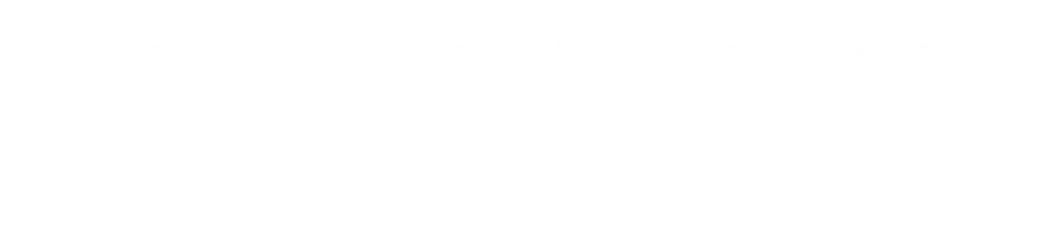 Qik Pro